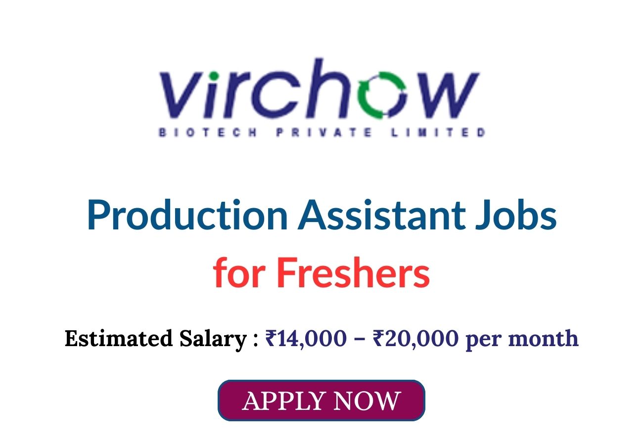 Production Assistant Jobs for Freshers