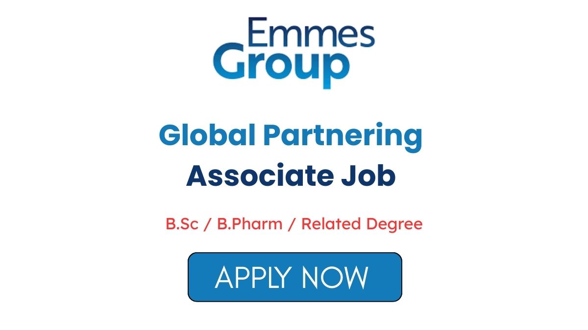 Global Partnering Associate Job at Emmes Group